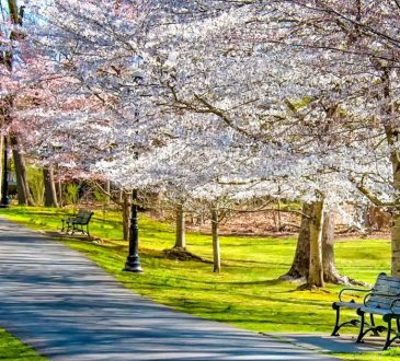 8 Perfect Spring Destinations for a Magical 2025 Vacation