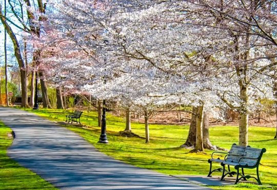 8 Perfect Spring Destinations for a Magical 2025 Vacation